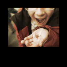 zack_bouffe_grillons