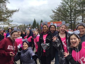 Les souris du Carrefour