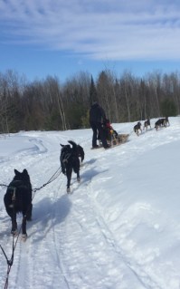 Luc traineau à chiens